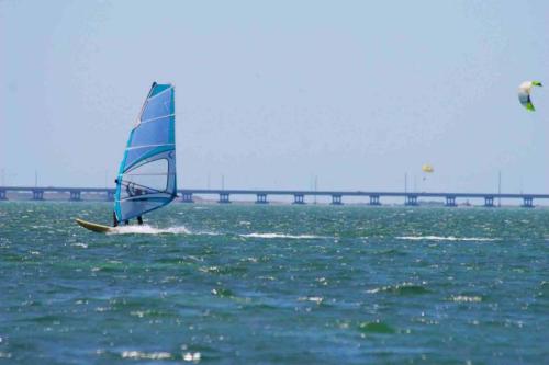 Seagull 502 by Padre Island Rentals - image 9