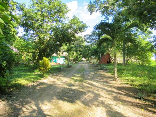 Entrance, Cabanas Calakmul in Conhuas