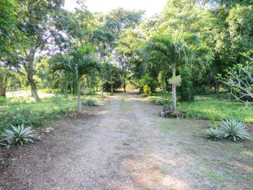 Cabanas Calakmul in Conhuas
