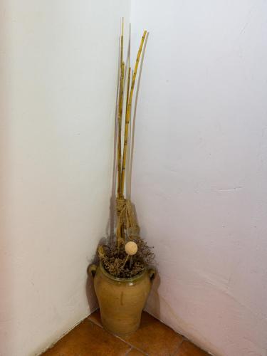  La Casa de los Soportales in Chinchón