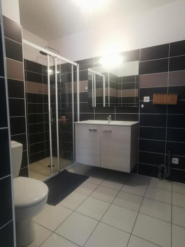 Bathroom, Appartement T2 accessible PMR avec terrasse et garage in Rodez