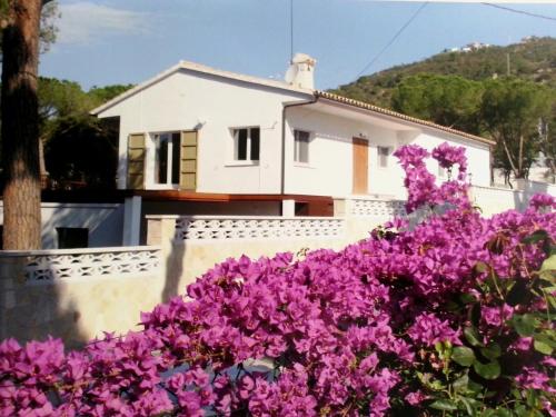  Villa Felices juntos, Pension in Platja  dAro