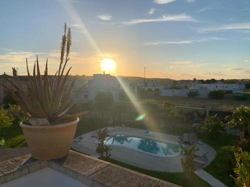  The Loft Stylish Apartment in Giuliano