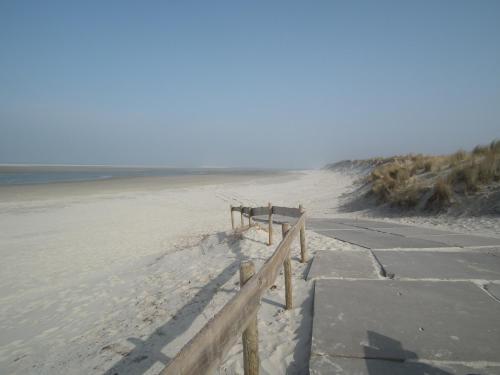 Hollumerduinen - image 12