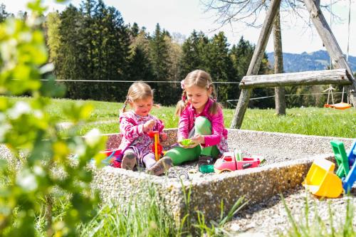Berghof Voglerbrand in Andelsbuch
