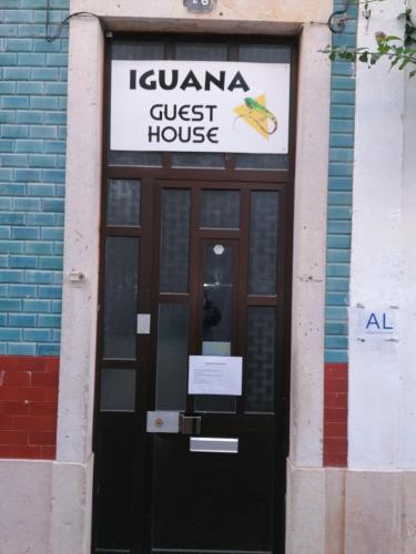 Iguana Guesthouse 2