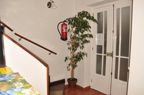 大堂, Residencial D. Joao III in 蓬塔德爾加達市中心