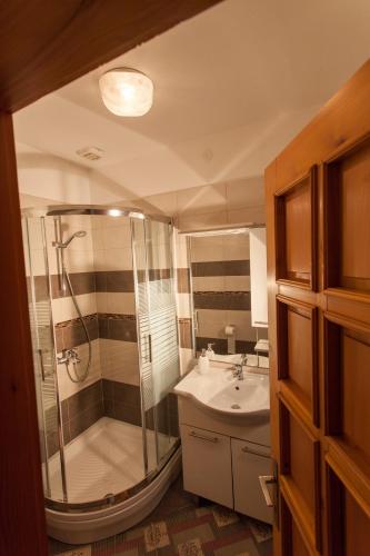 Apartman Budimir 5