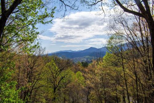 Bear View Chalet with hot tub and near Ober in Gatlinburg, USA