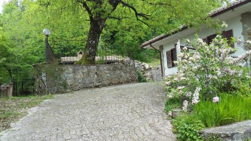 B&B Casa Rosella - Country house in Bellegra