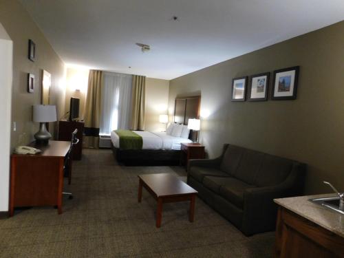 Comfort Inn & Suites Sacramento