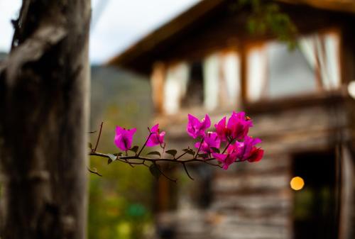 Cozy Log Cabin-Ojo de Agua-Villa de Leyva-WIFI