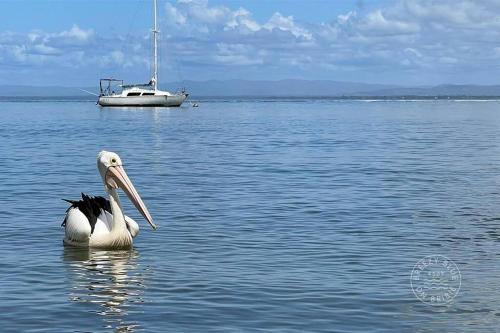 Breezy Blue on Bribie