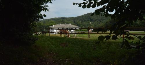 Favetto Family Ranch