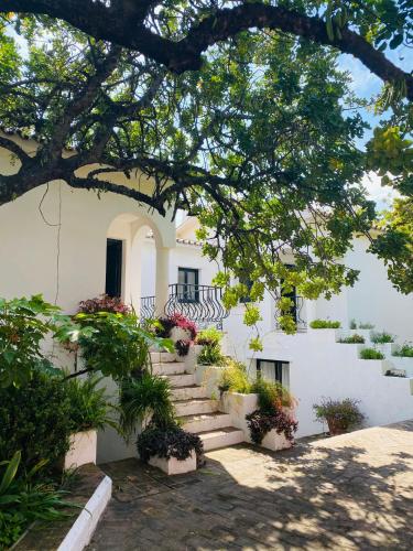 CSE Villa El Refugio del Lago gîte à louer Istán