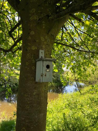 B and Be Happy Friesland B and Be Happy Friesland