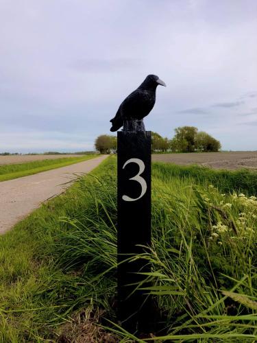 B and Be Happy Friesland B and Be Happy Friesland