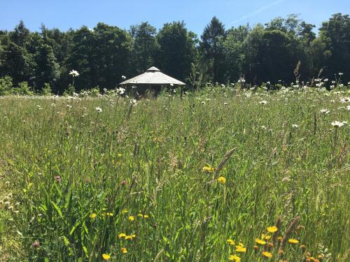 Hollicarrs - Dragonfly Lodge Hollicarrs - Dragonfly Lodge