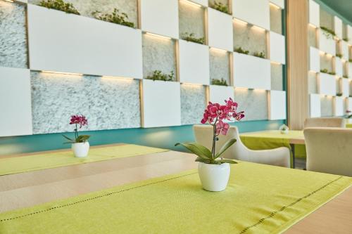 Hotel Excelsior Mamaia Nord - image 8