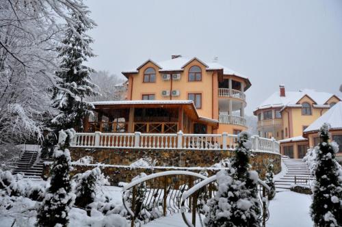 Вiлла Тераса in Poljana