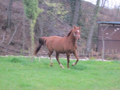 Hotel Casa Horta (Aviá) desde 135€ - Rumbo