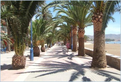 Casa Girasol - Penthouse with Sea view in Alamillo