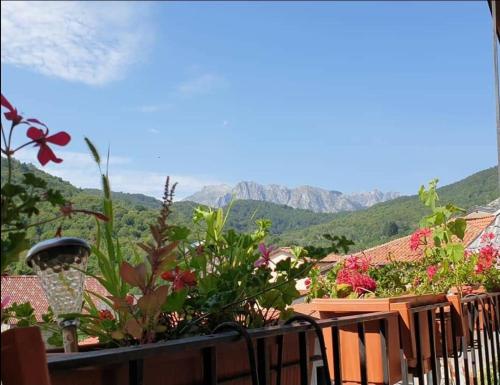 Coletti Pietro snc in Vagli Sotto