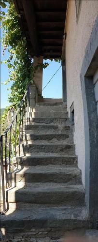 Coletti Pietro snc in Vagli Sotto