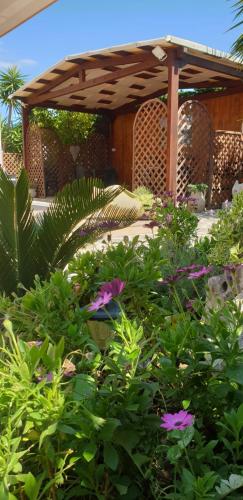 B&B L'Oasi del Sole