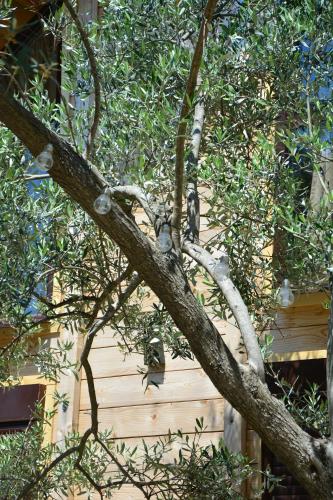 OLEA COTTAGE - image 5