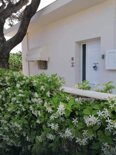 sofia s house gîte à louer Kouvarás