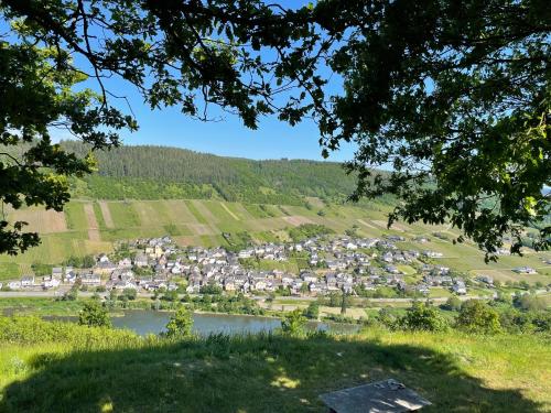 Apkārtne, Ferienwohnung Metzen in Burg (Mosel)