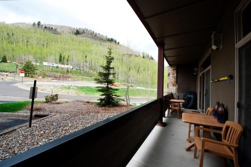 Peregrine Point 107 in Durango Mountain Resort, USA