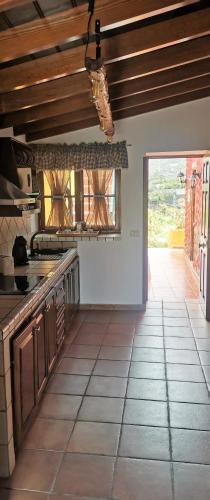  Araguaney, Finca Jardín del Rincón (Barreto) in La Orotava