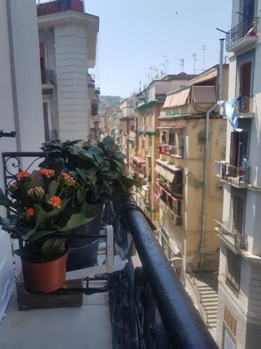 Casa Napul'è, Neapol