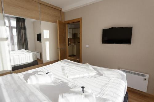 Hotel Harmonija Kopaonik - Luxury Mountain - image 11