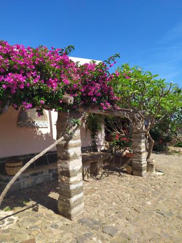 Agriturismo Hibiscus