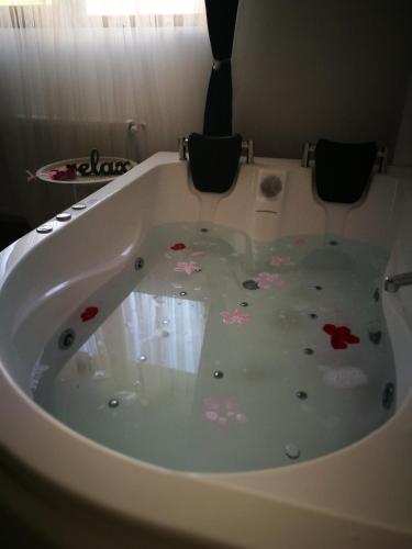 Iași Jacuzzi Residence F - Apartment - Iaşi