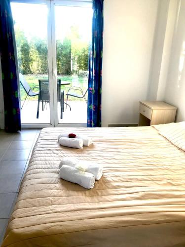 Room in Studio - Amazing 1 bed room apartment Banos and Swimming Pool