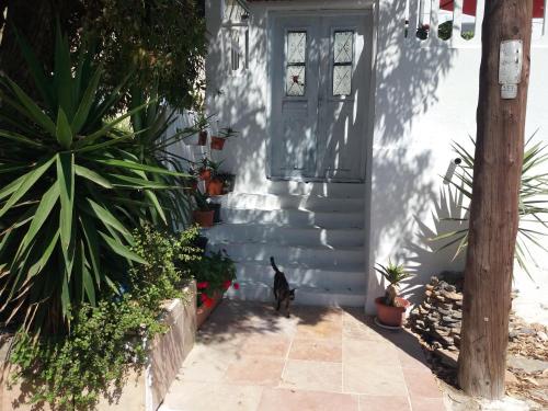 Maryshome 2 gîte à louer Vrachonisída Mikró Kouroúkio