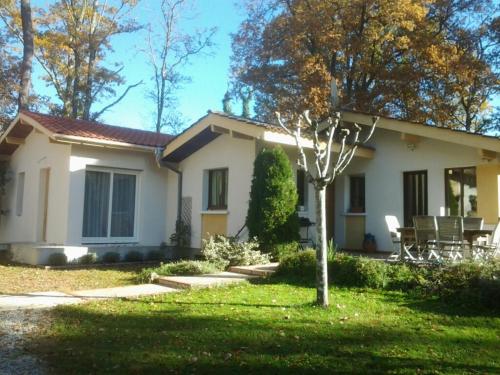 Gîte Lacquy, 2 pièces, 2 personnes - FR-1-360-384 gîte à louer Pouydesseaux