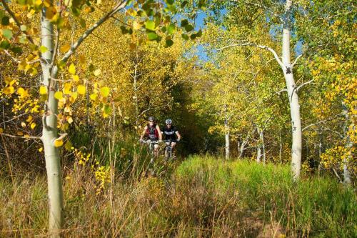 Ascent Residence 309 - main image