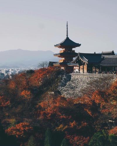 棠-Yamanashi-