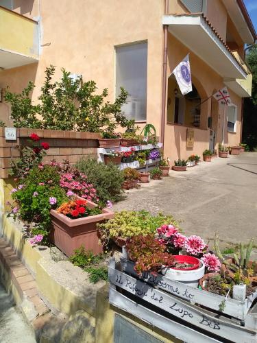 B&B Il Rifugio del Lupo