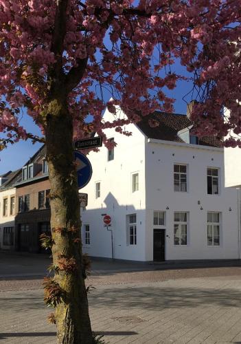 Stadsvilla met patio in centrum Maastricht, Maastricht