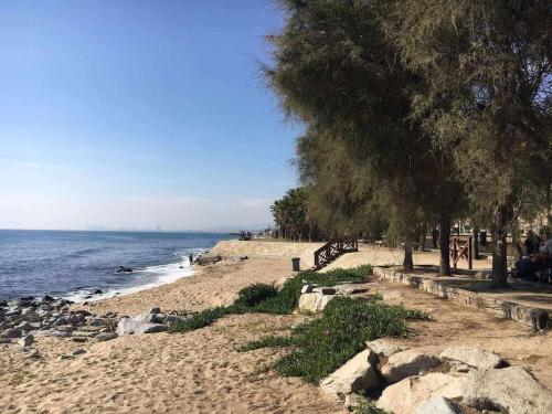 A környék, Nice and quiet flat in Premià de Mar - HUTB 01790 (Nice and quiet flat in Premia de Mar - HUTB 01790) in Premia de Mar (Maresme)