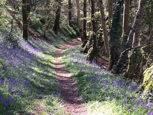 Le Vérotin, Gîte de charme avec spa gîte à louer Saint-Jean-des-Champs