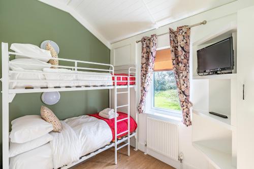 Squirrel Lodge 40 with Hot Tub Newton Stewart - image 6