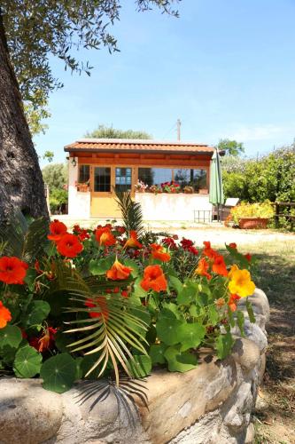 Villa Rosada – Palinuro, UT