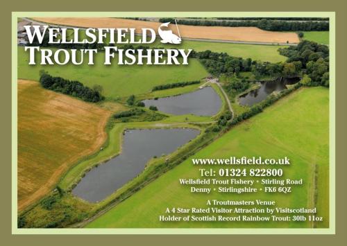 Wellsfield Farm Holiday Lodges